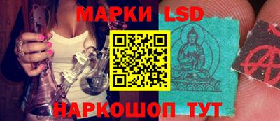 прущий лед Будённовск