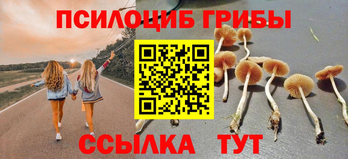 Галлюциногенные грибы Psilocybine cubensis Новосибирск