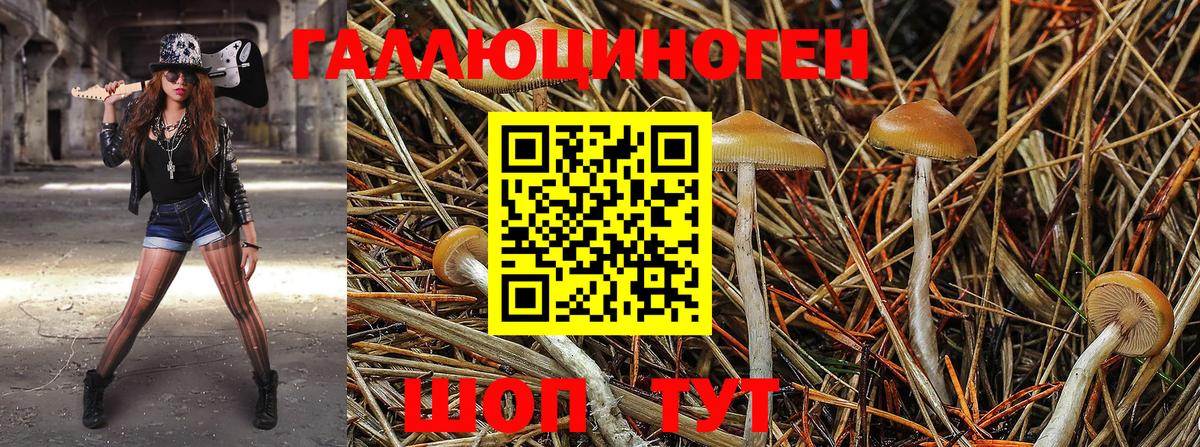 Новосибирск  Галлюциногенные грибы Magic Shrooms  Вход с VPN 